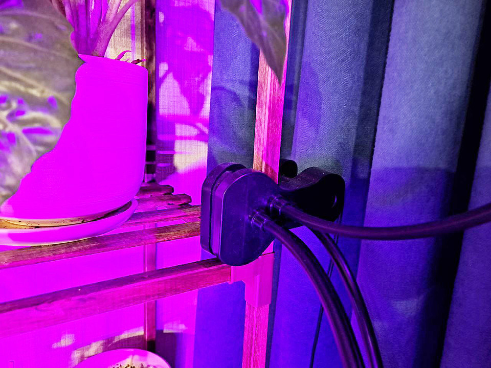 Как выбрать фитолампу для комнатных растений и рассады