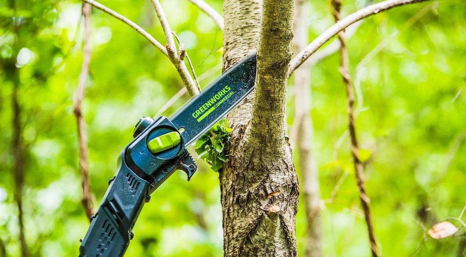 5 практичных сучкорезов для обрезки деревьев на участке