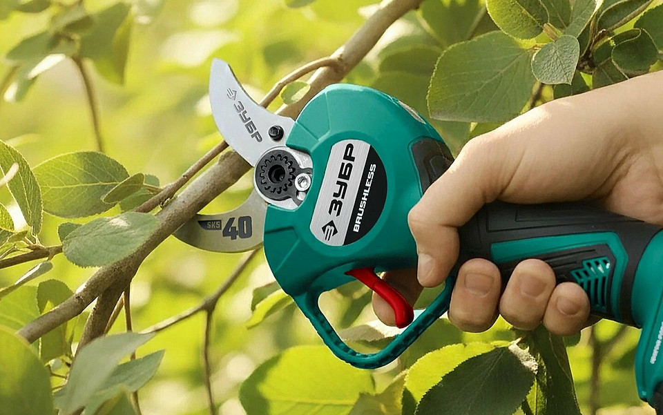 5 практичных сучкорезов для обрезки деревьев на участке