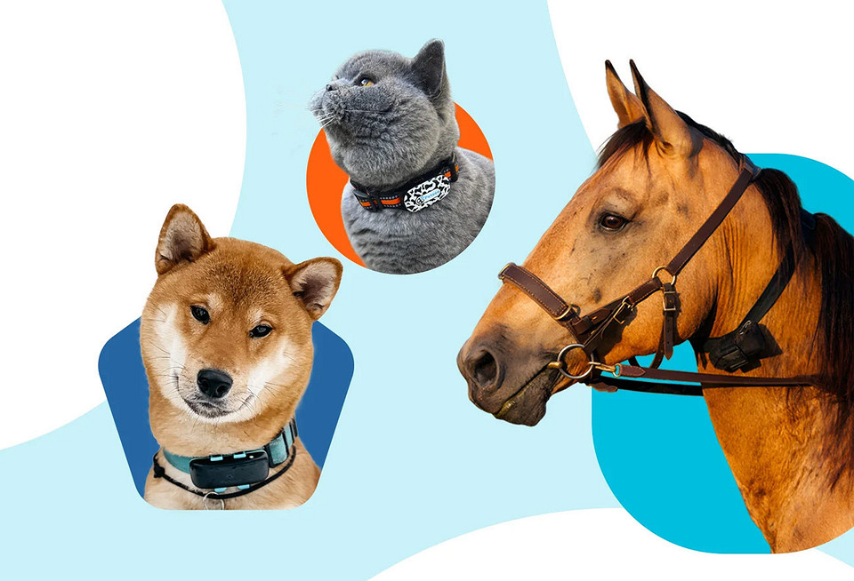 Трекеры для поиска вещей, людей и домашних питомцев: топ-6 лучших