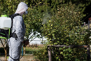 5 практичных садовых опрыскивателей со встроенными насосами