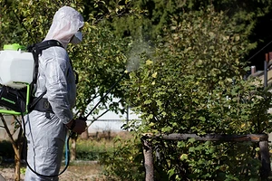 5 практичных садовых опрыскивателей со встроенными насосами