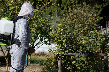 5 практичных садовых опрыскивателей со встроенными насосами