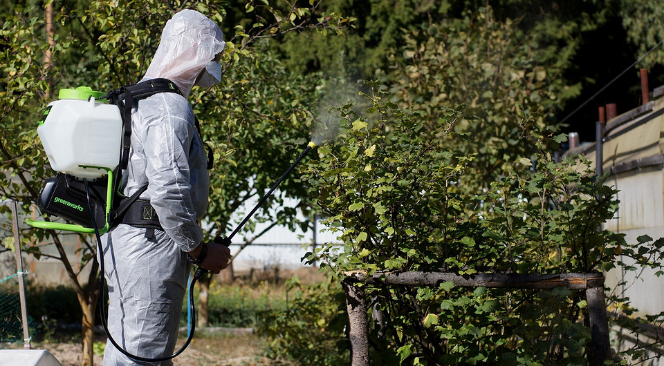 5 практичных садовых опрыскивателей со встроенными насосами