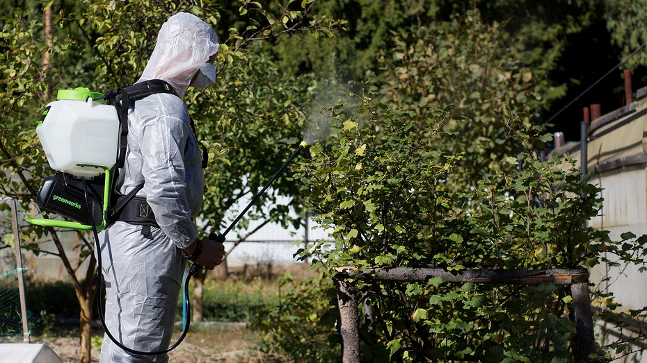 5 практичных садовых опрыскивателей со встроенными насосами