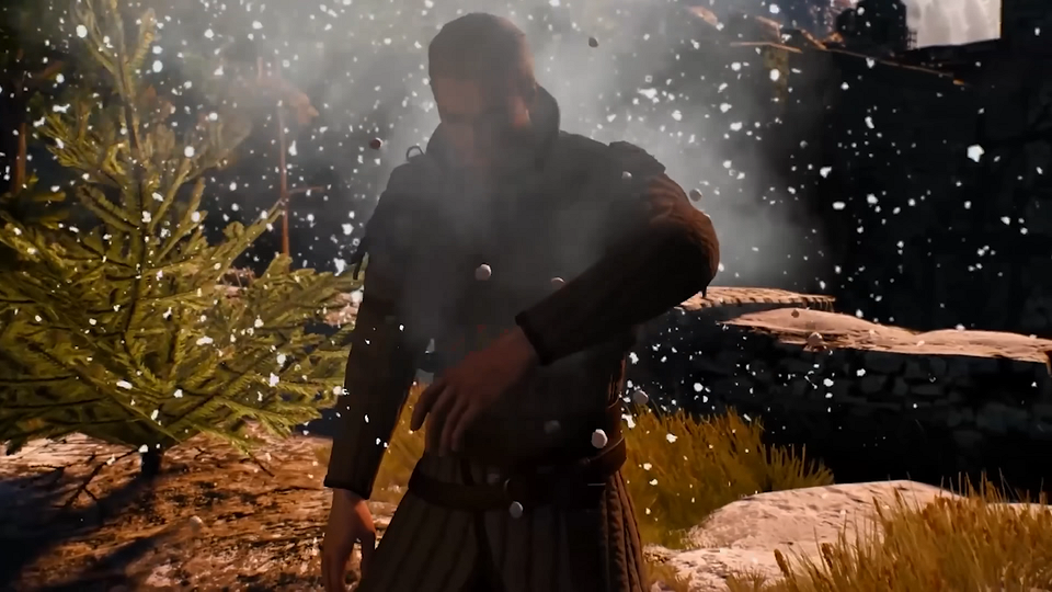 Как сделать Цири ведьмаком в The Witcher 3: разбор концовки