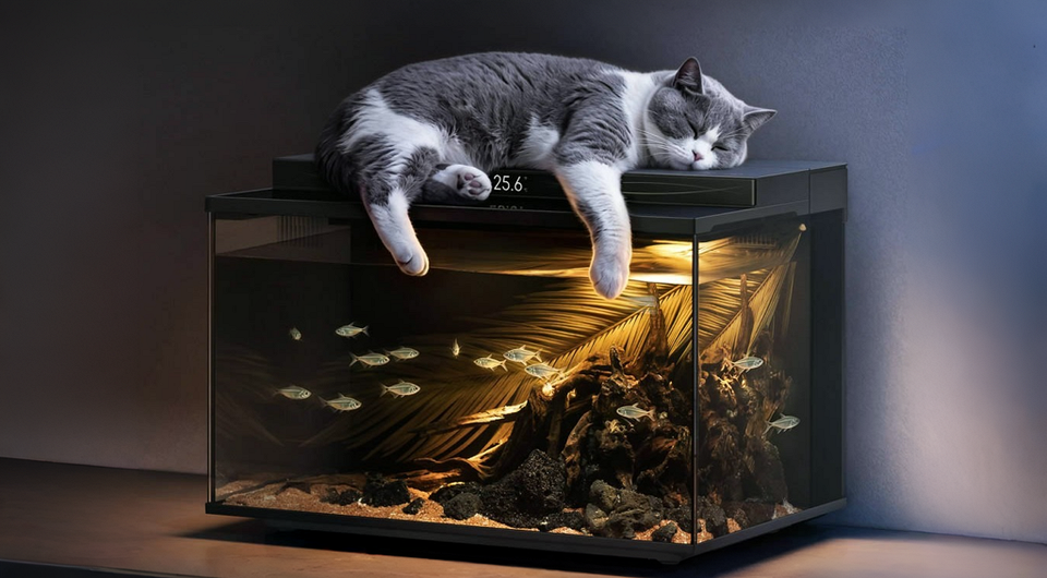 Вещь дня для рыбов: Xiaomi выпустила Mijia Smart Fish Tank 2 Pro — умный аквариум с автокормушкой