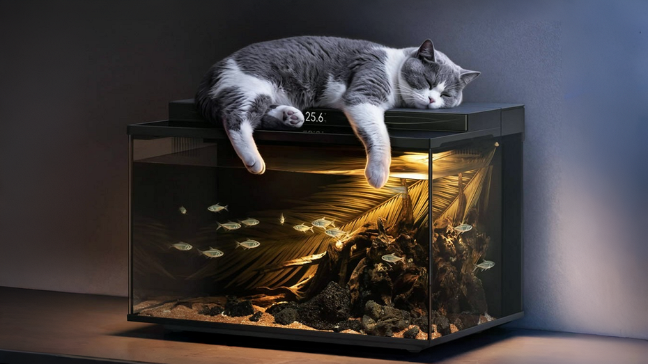 Вещь дня для рыбов: Xiaomi выпустила Mijia Smart Fish Tank 2 Pro  умный аквариум с автокормушкой